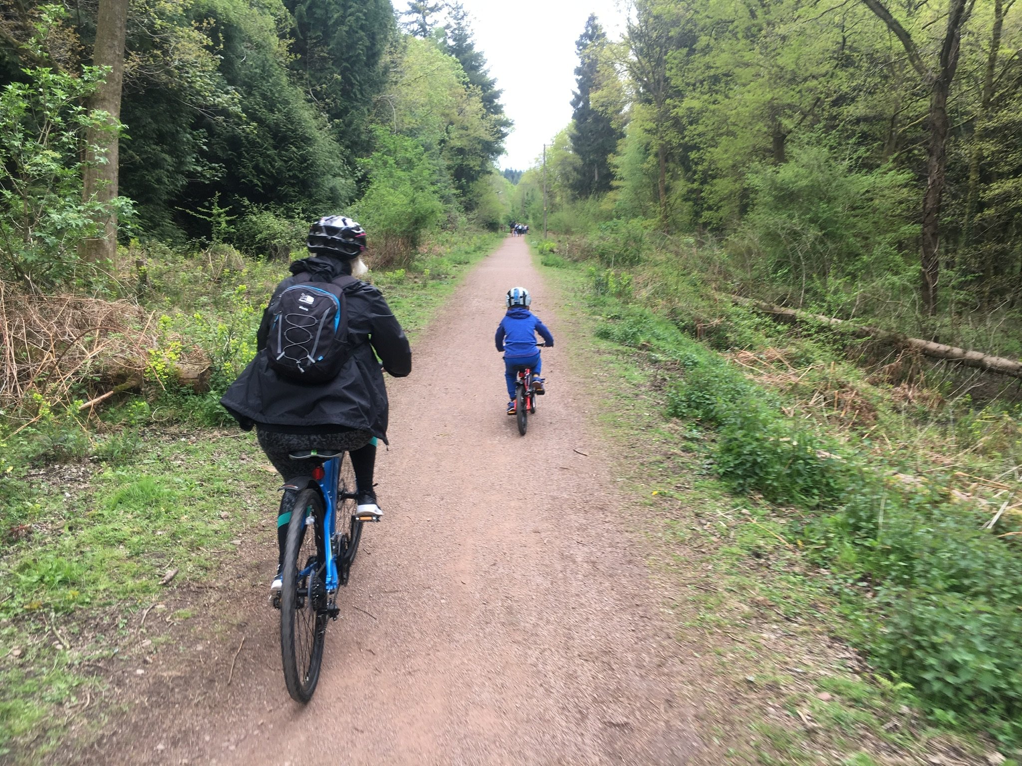 Mountain biking in forest cheap of dean