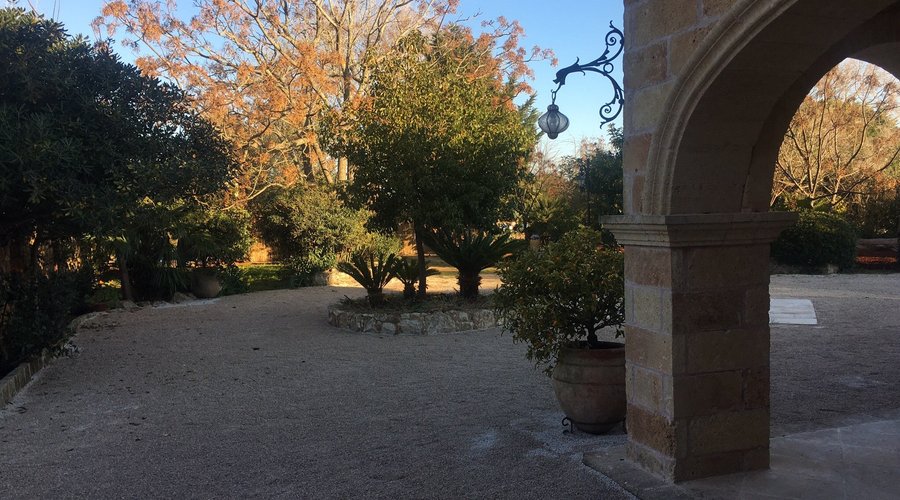 Tenuta il Grifo