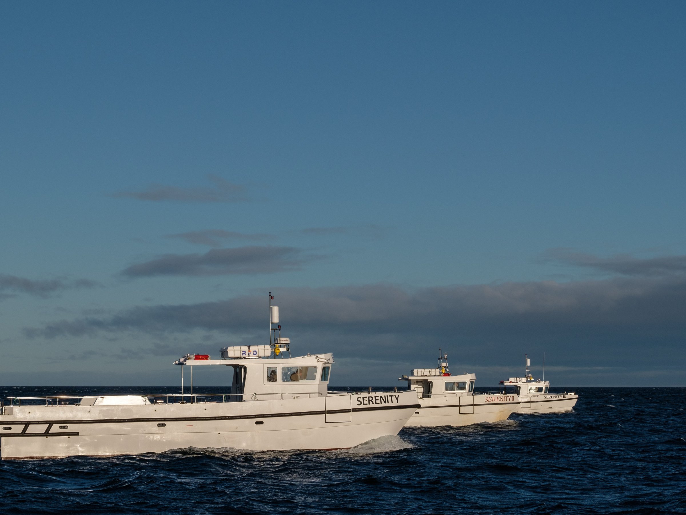 serenity farne island boat tours prices