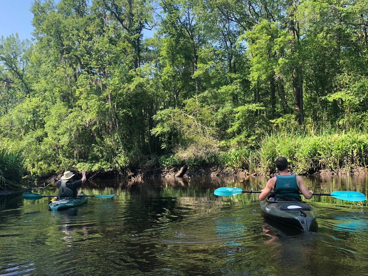 Kayak Charleston - All You Need to Know BEFORE You Go