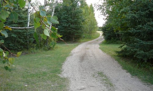 Tenting area at Elk Island Retreat.