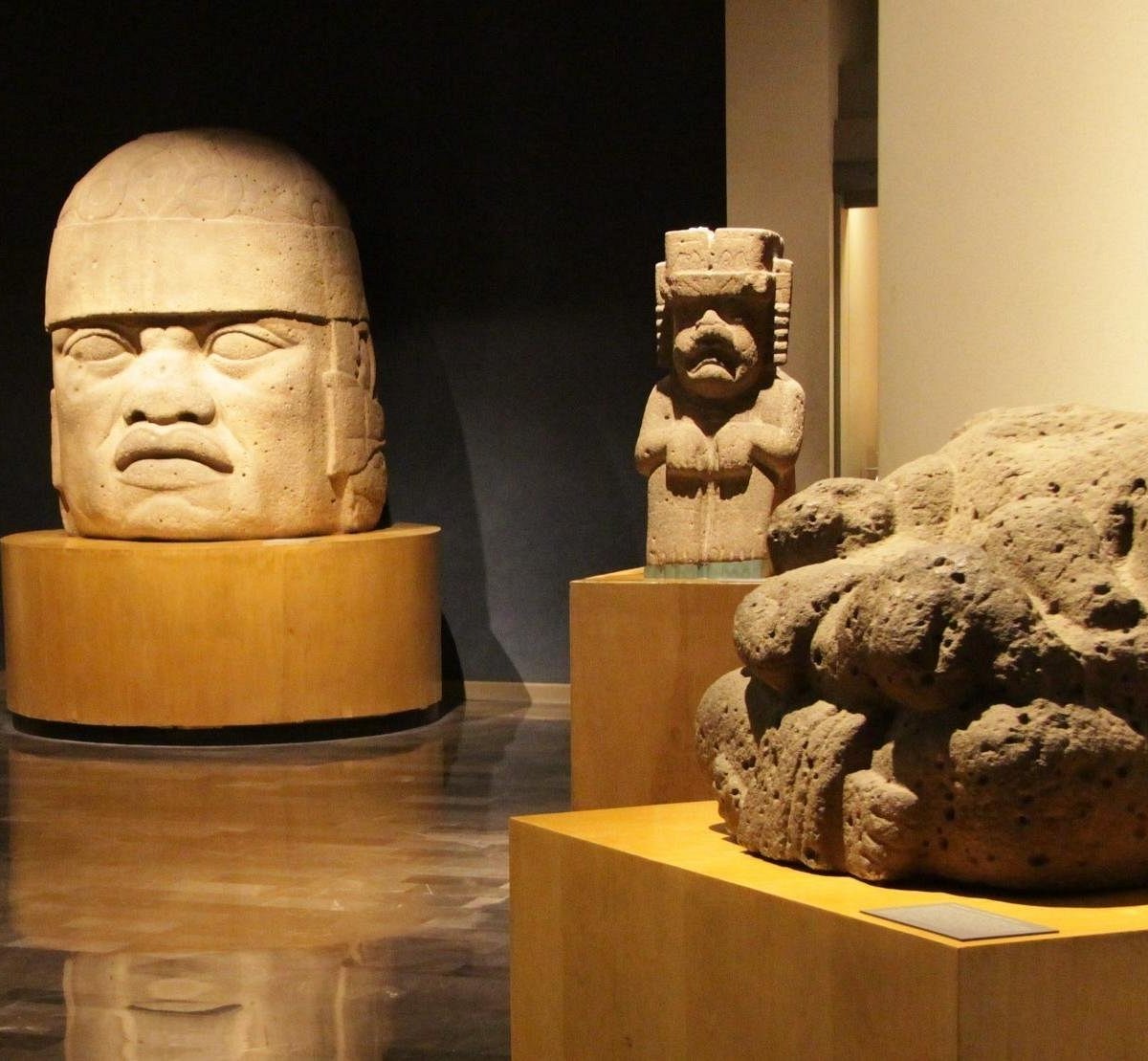 Guided tours at Museo Nacional de Antropología (Mexico City): Address ...