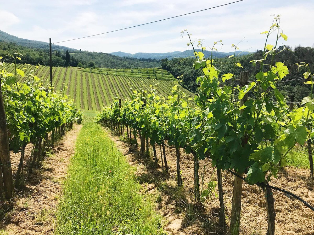 I MIGLIORI 10 ristoranti a Greve in Chianti - Elenco aprile 2024