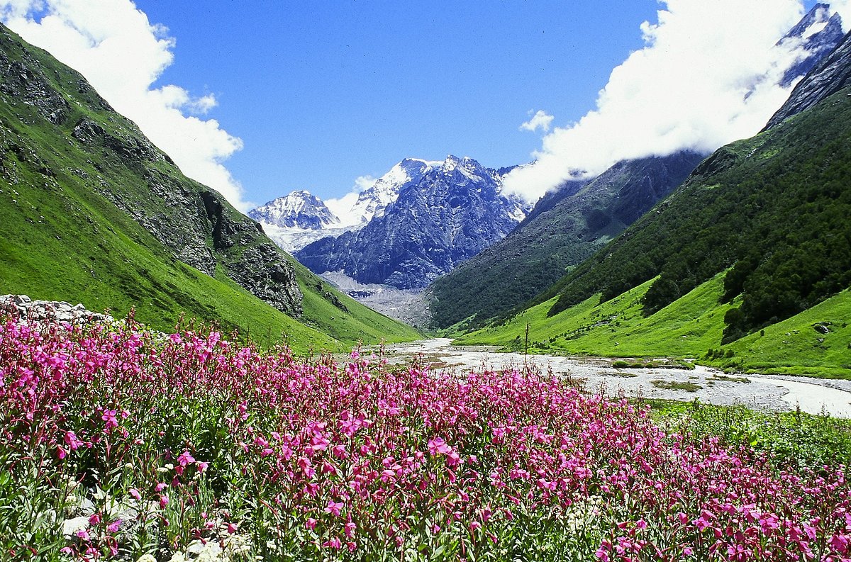 Valley of Flowers National Park (Uttarakhand) All You Need to Know