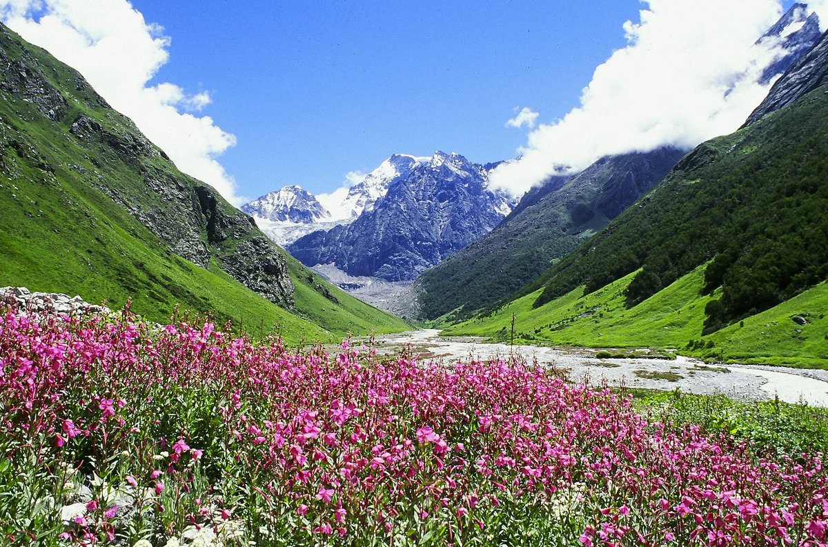 Valley Of Flowers Carnival 2024 - Gipsy Kaitlin