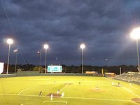 UFCU Disch-Falk Field, 1300 E Martin Luther King Jr Blvd, Austin