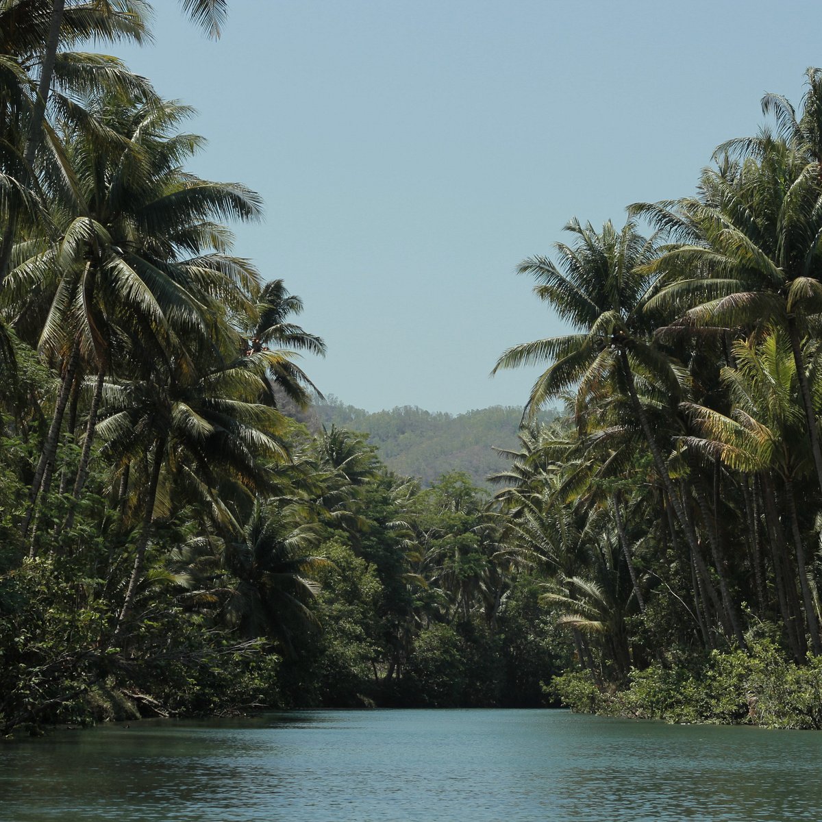 Maron River, Pacitan: лучшие советы перед посещением - Tripadvisor