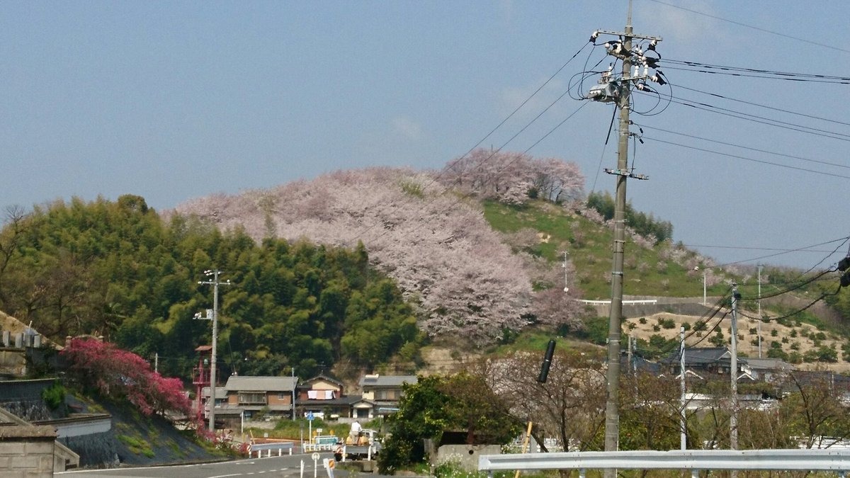 THE 15 BEST Things to Do in Mihara - 2022 (with Photos) - Tripadvisor