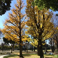 都立青山公園