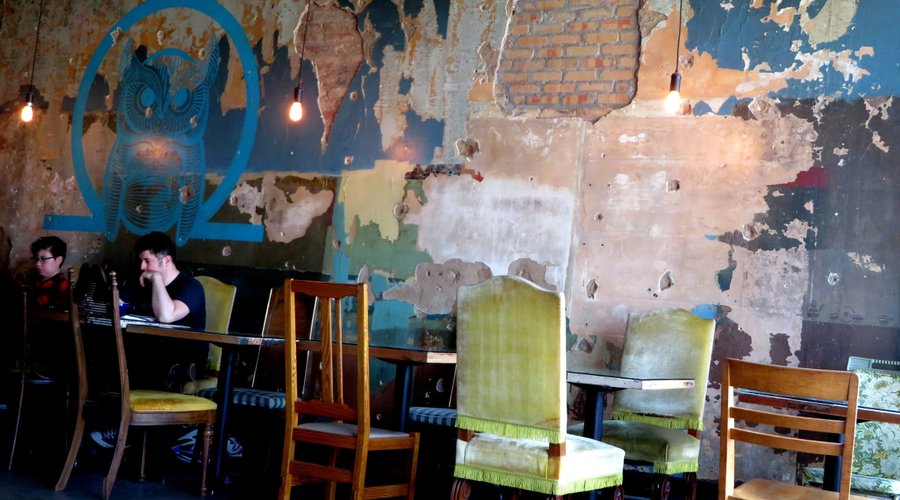 Blue Owl Coffee