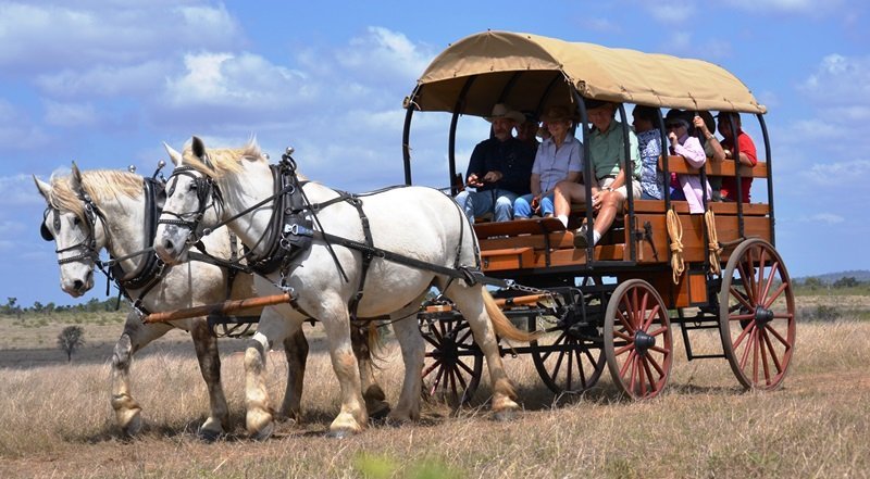 Texas Longhorn Tours (Charters Towers): All You Need To Know