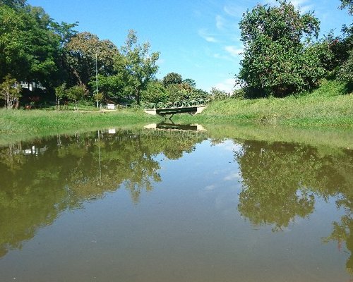 Jardim botanico Irmaos Vilas Boas - All You Need to Know BEFORE You Go  (with Photos)