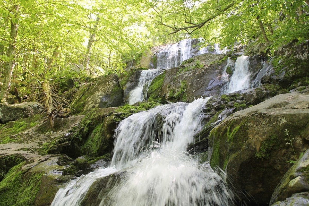 ROSE RIVER FALLS (Shenandoah National Park) - All You Need to Know BEFORE You Go