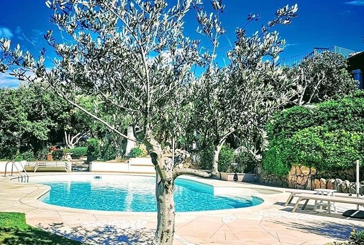 Pool and garden 