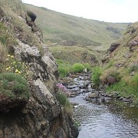 The stream