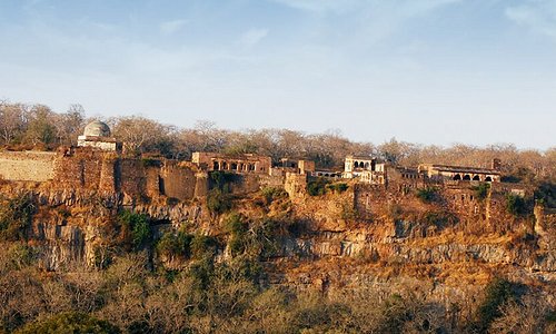RANTHAMBORE FORT The noteworthy Ranthambore Fort was built by the Chauhan rulers in the 10th century. Due to its strategic location, it was ideal to keep the enemy at bay. The fort is also related to the historical legend of the royal women performing ‘jauhar’ (self-immolation) when the Muslim invader Alauddin Khilji laid siege on this fort in 1303. The fort is characterised by temples, tanks, massive gates and huge walls.
