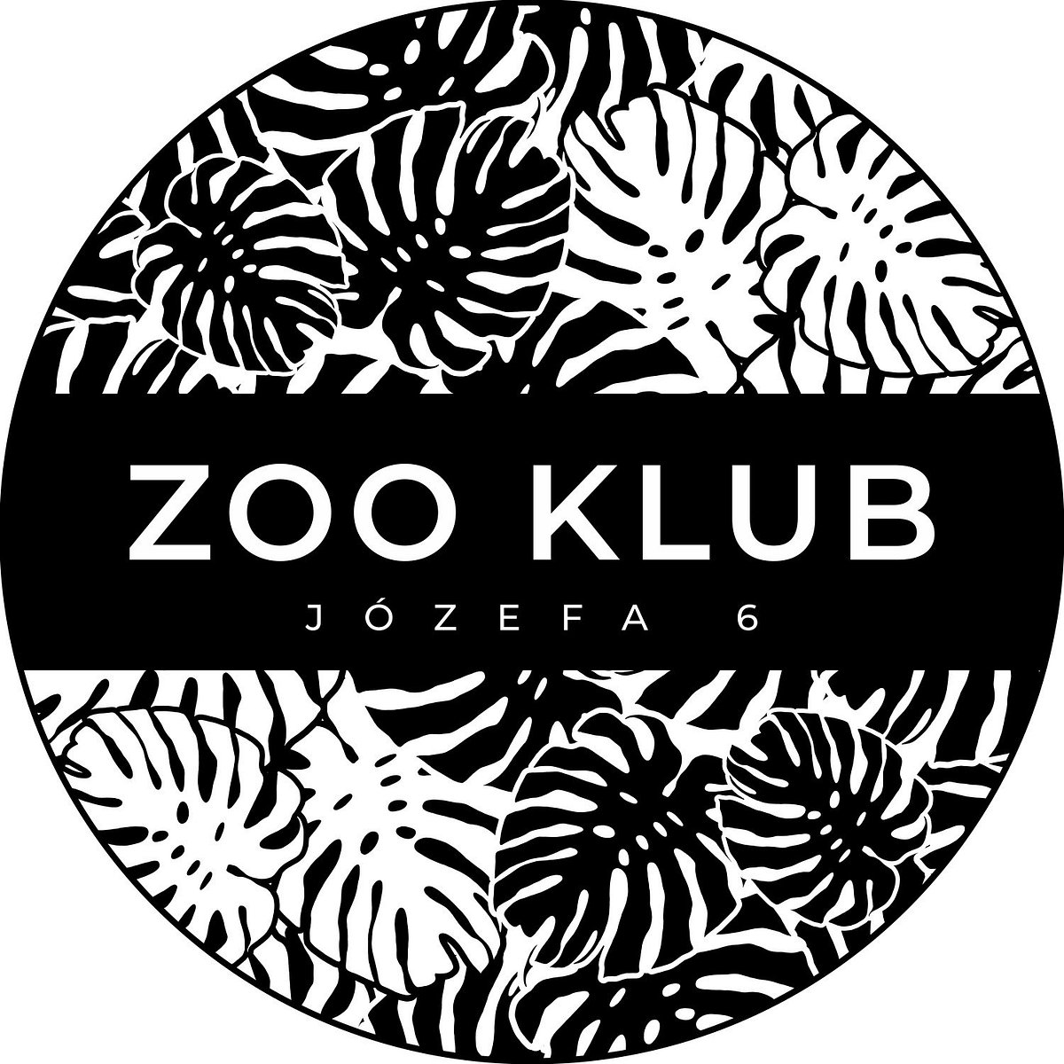 Zoo Klub, Краков: лучшие советы перед посещением - Tripadvisor