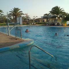 Kibbutz Lotan Desert Inn Pool: Pictures & Reviews - Tripadvisor