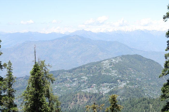 CAMP HIMALAYAN YEW (Narkanda, Himachal Pradesh) - Campground Reviews ...