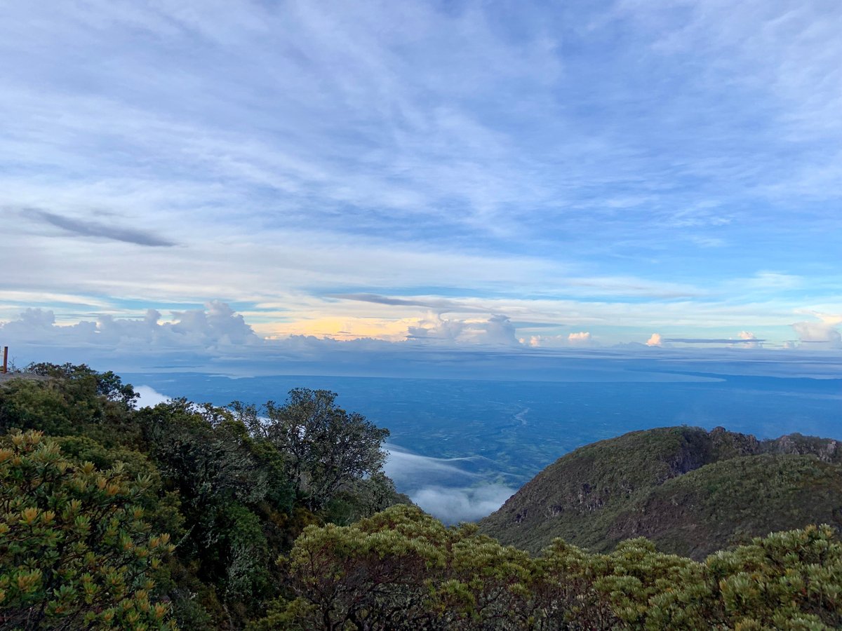 Volcan Baru National Park (2025) - All You Need to Know BEFORE You Go ...