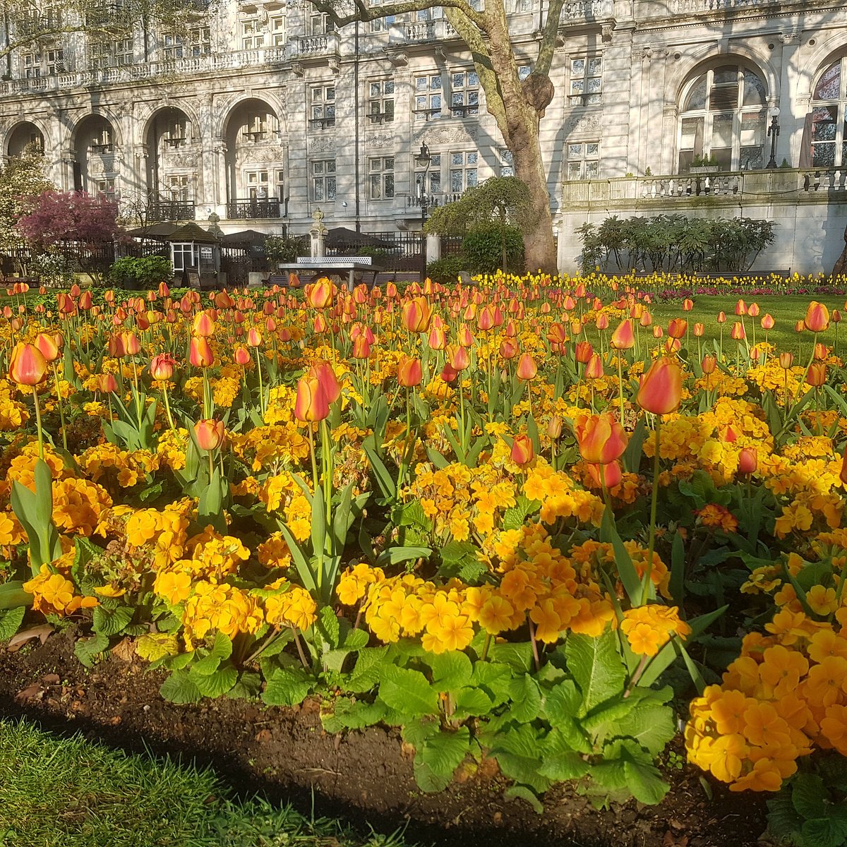 22年 Whitehall Gardens 行く前に 見どころをチェック トリップアドバイザー