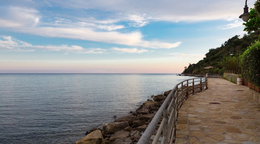 Pioppi al tramonto