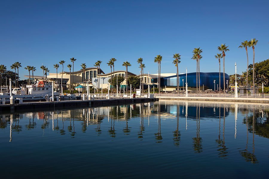 Aquarium of the Pacific (Long Beach) All You Need to Know BEFORE You Go