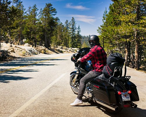 Trail Adventure Motorcycle Pants Stardust