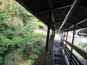 客室 & スイート