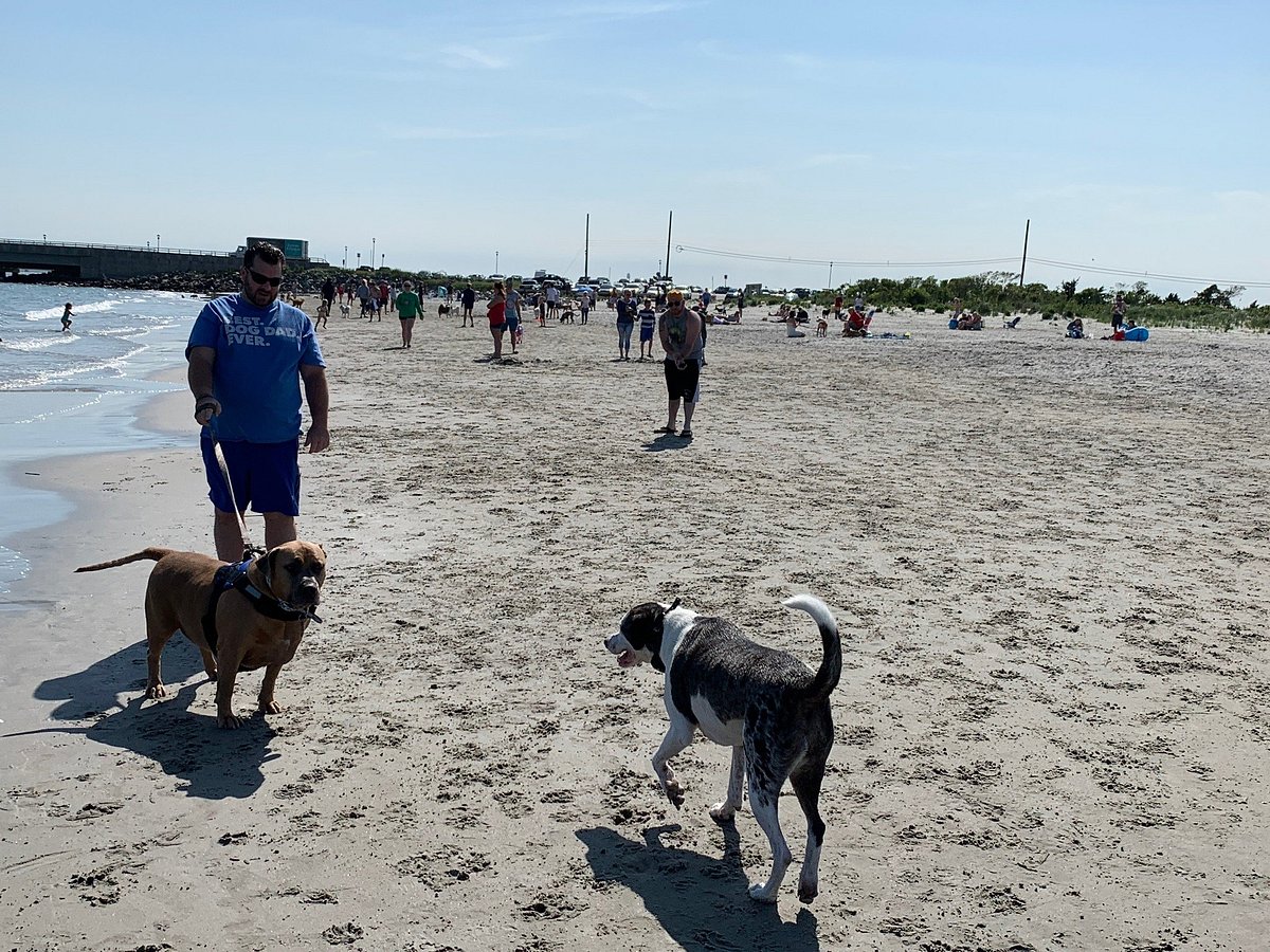 are dogs allowed at port nj