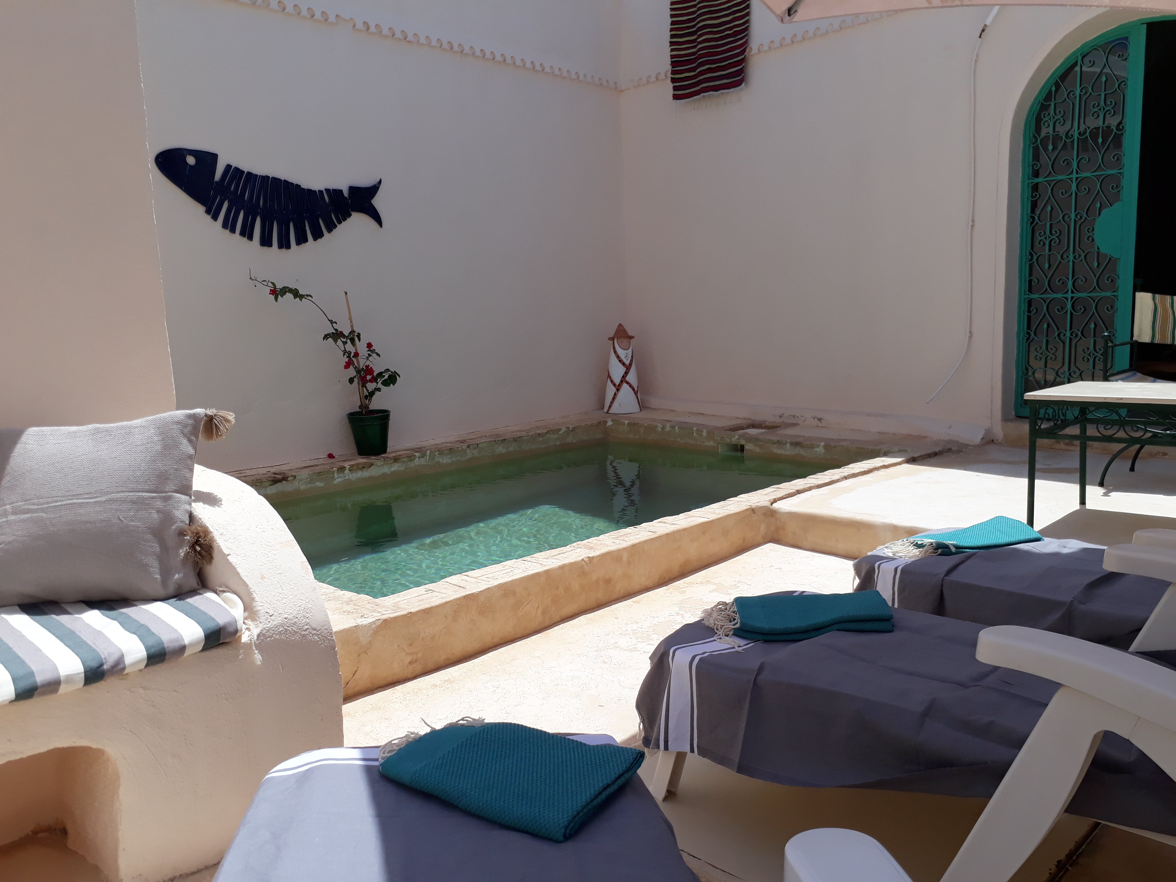 DAR LILY B&B (Erriadh, Tunisia): Prezzi 2022 E Recensioni