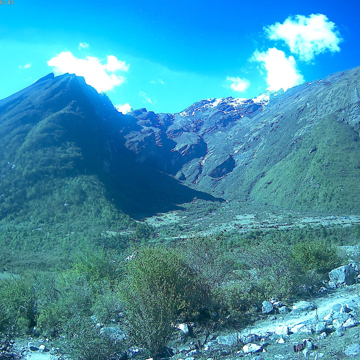 Langtang Valley, Национальный парк Лангтанг: лучшие советы перед посещением  - Tripadvisor