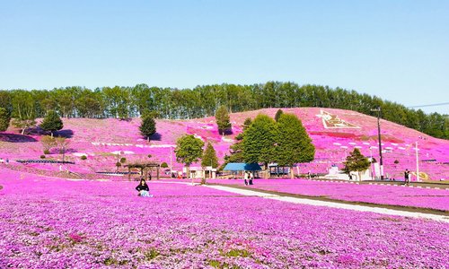 ひがしもこと芝桜公園