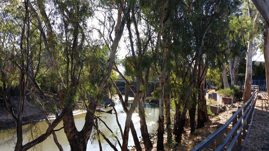 View of river a few steps from our apartment