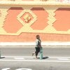 NazExplores