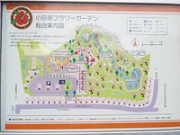 21年 小田原フラワーガーデン 行く前に 見どころをチェック トリップアドバイザー 21年 小田原フラワーガーデン 行く前に 見どころをチェック トリップアドバイザー