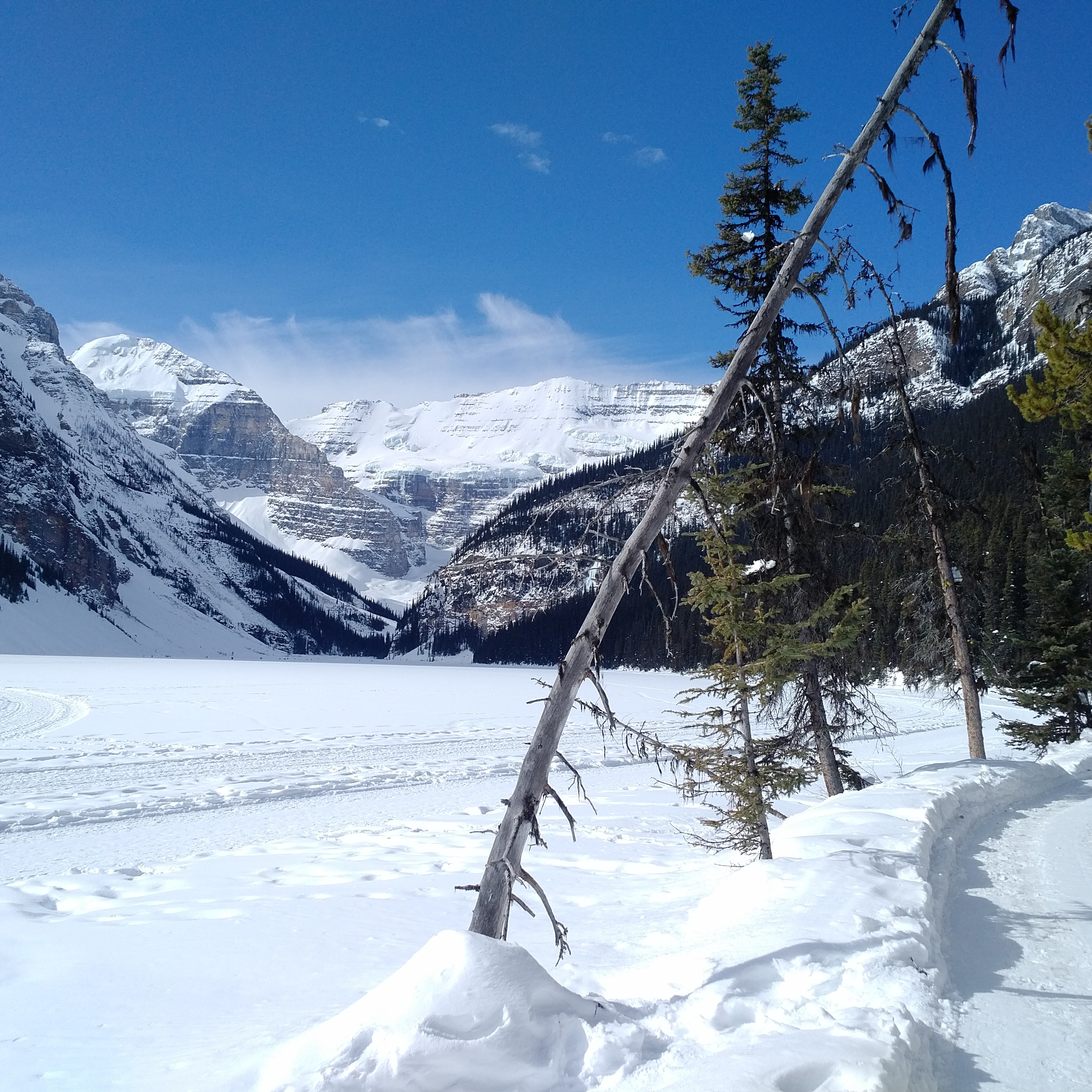 JMT