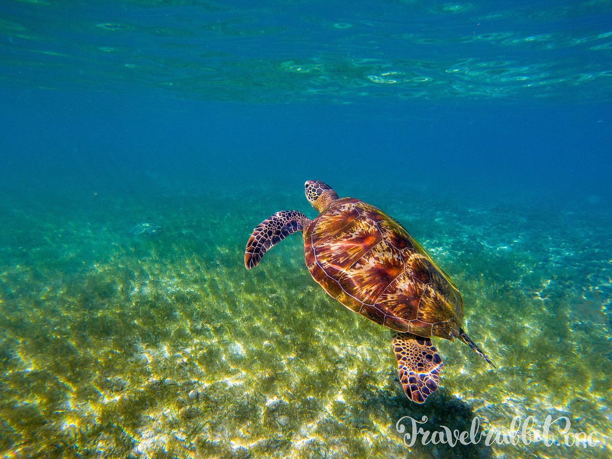 Panagsama Beach, Моалбоал: лучшие советы перед посещением - Tripadvisor