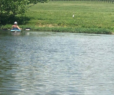 Central Kentucky Kayaking - All You Need to Know BEFORE You Go (2024)