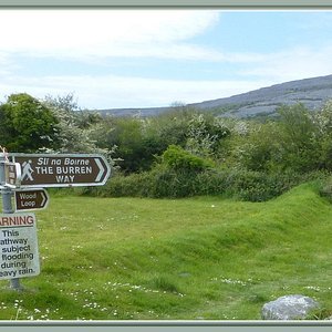 Burren Birds of Prey Centre Galway