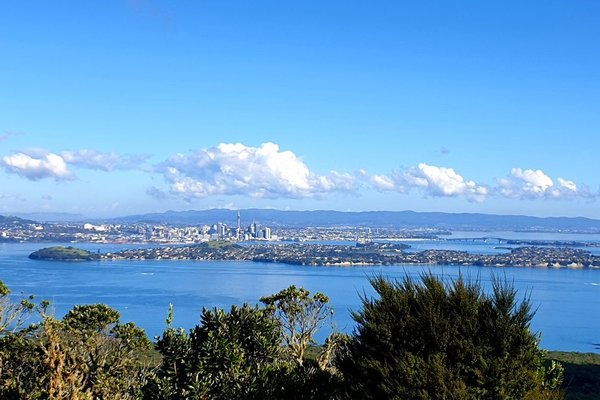 Auckland, New Zealand: All You Must Know Before You Go (2024) - Tripadvisor