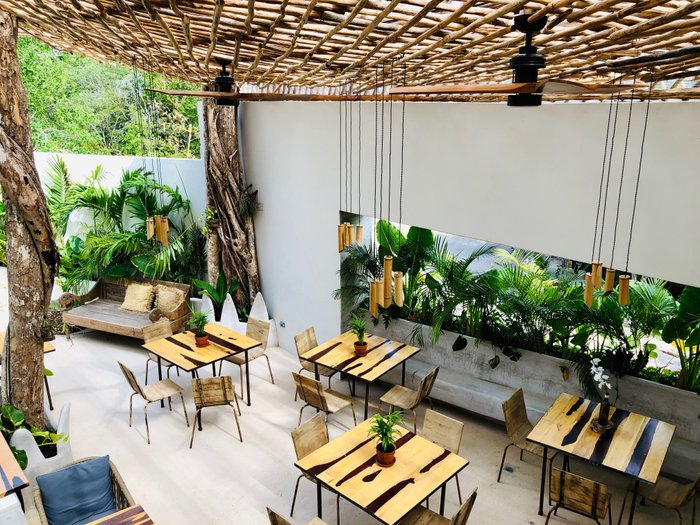 ORCHID HOUSE TULUM $104 ($̶1̶9̶4̶) - Updated 2024 Prices & Lodging ...