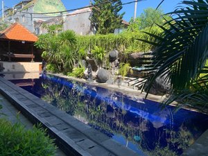wijaya guest house canggu