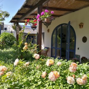 Foto struttura