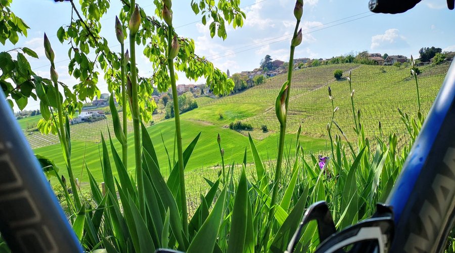Wonderful area for biking in the neighbourhood