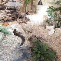 Reptile House De Aarde Breda - All You Need to Know BEFORE You Go