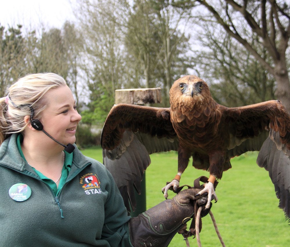 Paradise Park Wildlife Sanctuary - Access Cornwall