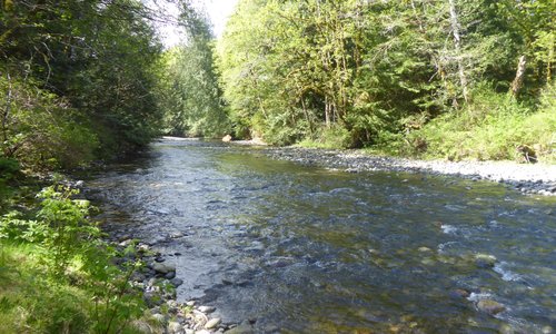 gentle creek.