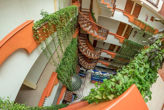 Hotel Baez Carrizal Hotel Baez Carrizal