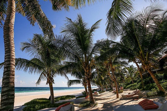 the beach tulum tripadvisor